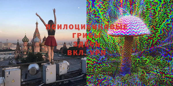 а пвп мука Няндома