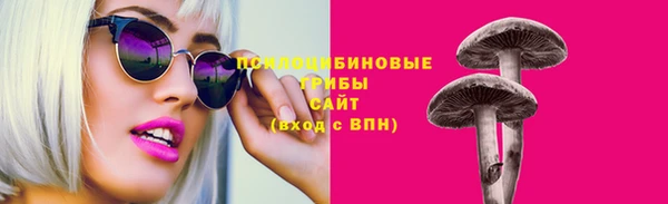 а пвп мука Няндома