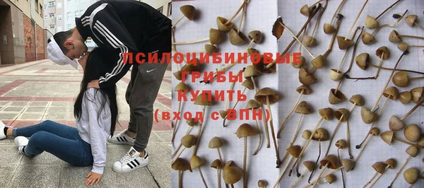 гашик Нязепетровск