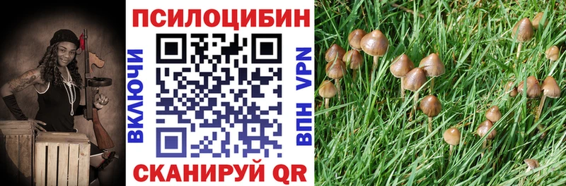 Псилоцибиновые грибы Cubensis  Купить закладки  Знаменск 