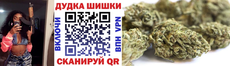 Купить закладки  Знаменск  Канабис SATIVA & INDICA 
